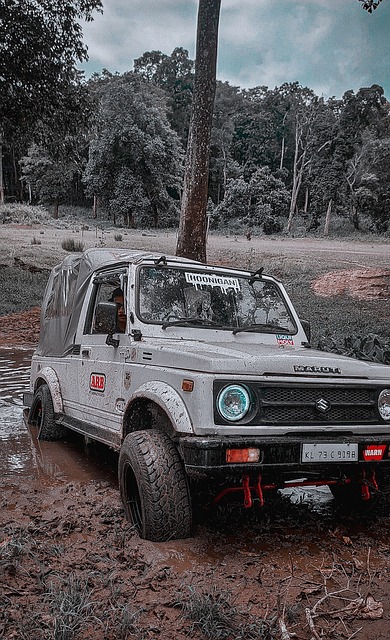 法甲轉會市 法甲轉會市