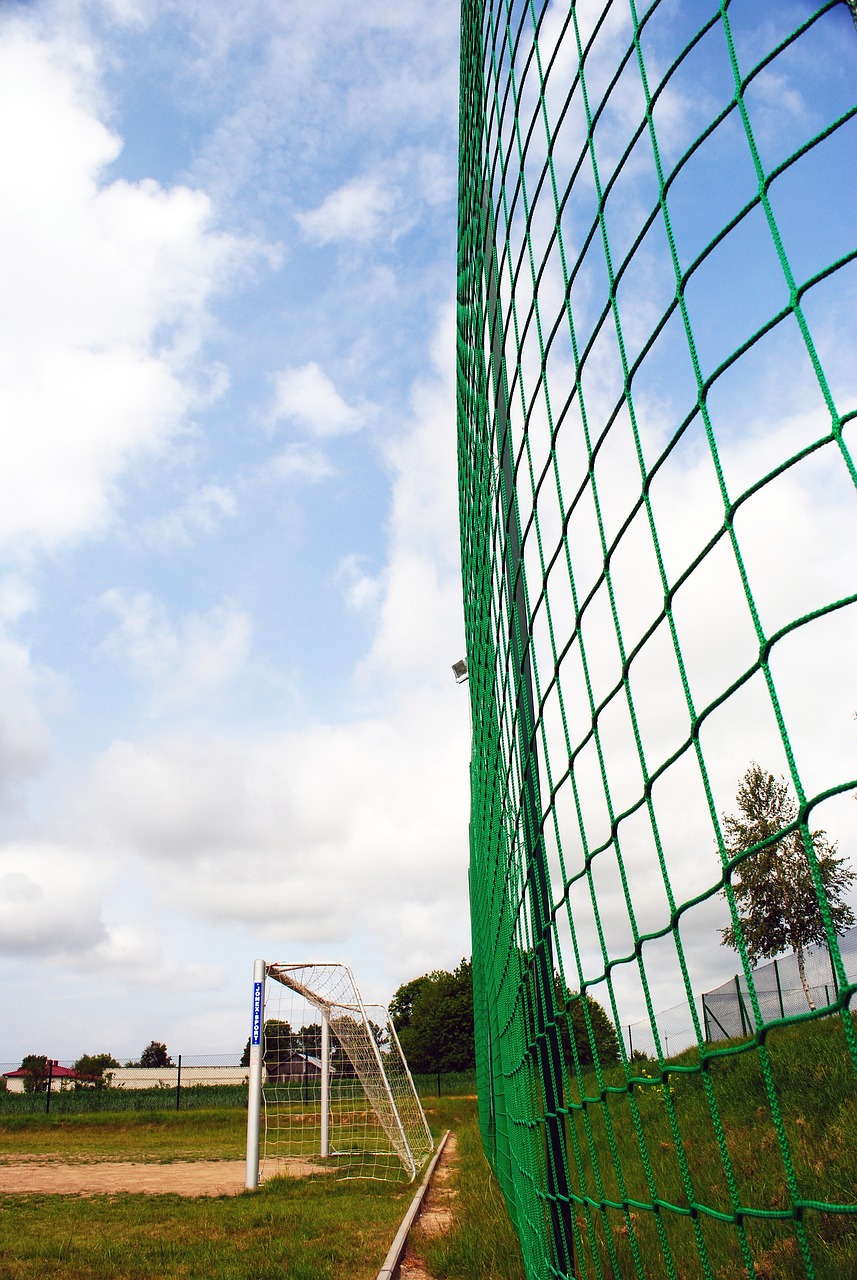 場控制力和 場控制力和