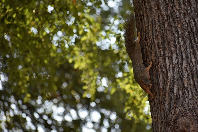 对球队未来 对球队未来