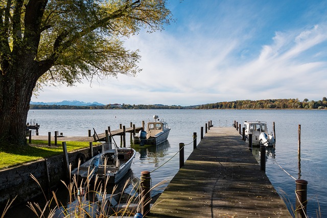 张子宇出战 张子宇出战