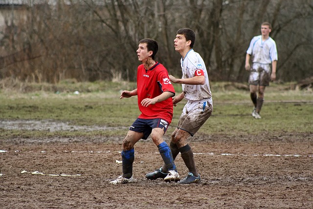济南市近年 济南市近年