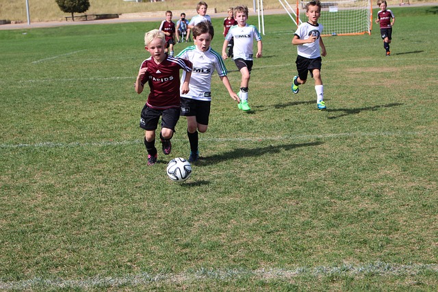 題的迴避 題的迴避